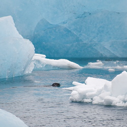 Iceland / Island 24