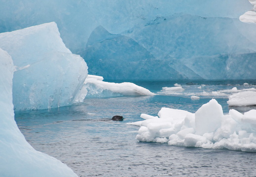 Iceland / Island 24