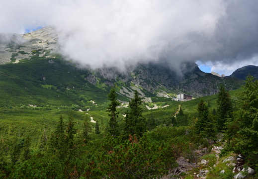 DSC 7862 01