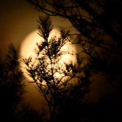 Night sky / Nočná obloha