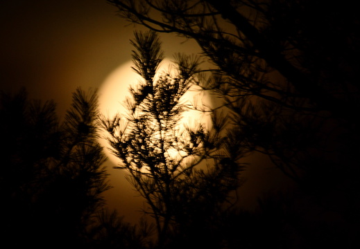 Night sky / Nočná obloha