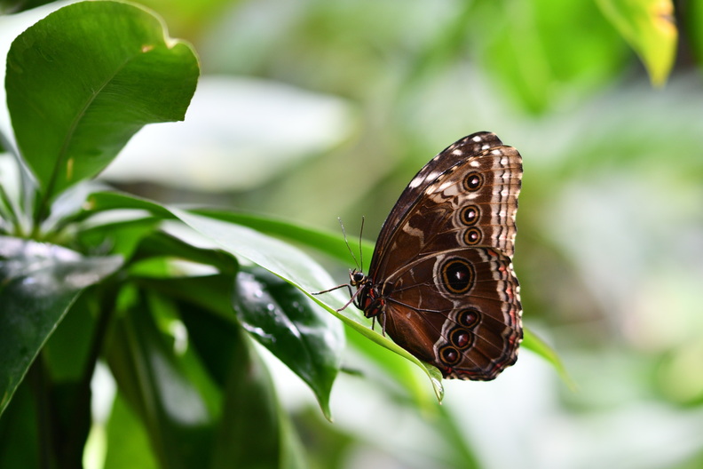 DSC_0264_00001.jpg