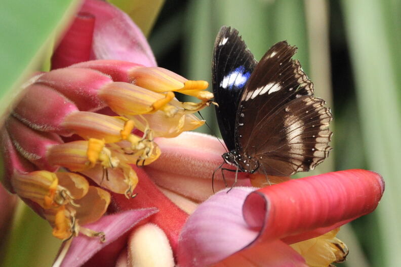 DSC_0373U.jpg