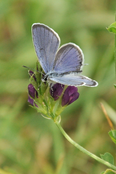 DSC_0743U.jpg