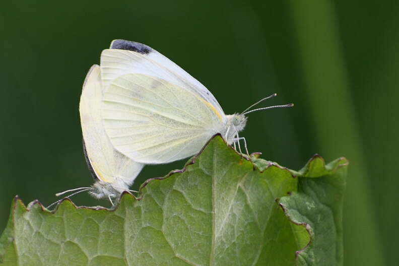 DSC_6910_00003.jpg