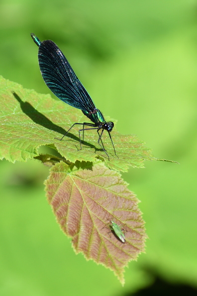 DSC_7757_00003.jpg