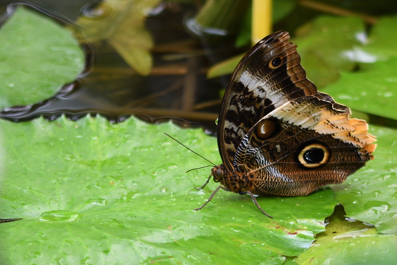 DSC_8110_00003.jpg