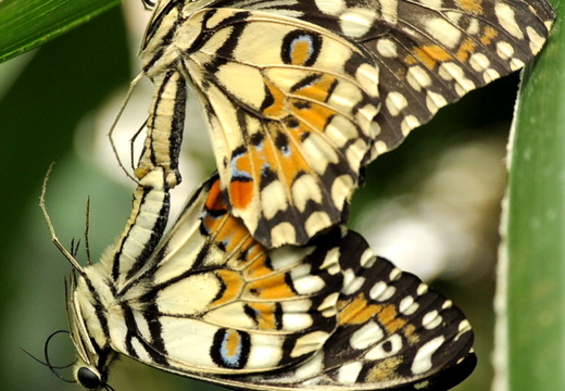 Martina Tverdakova 76 B 01