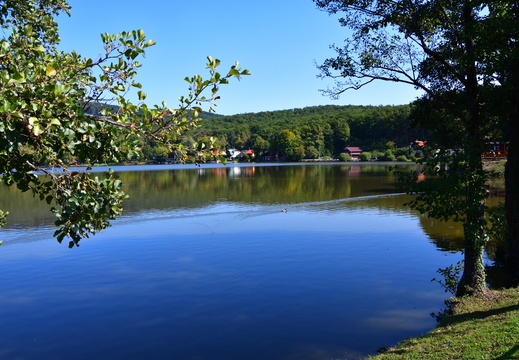 DSC 0355 01