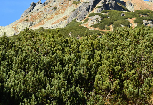 DSC 0846 01