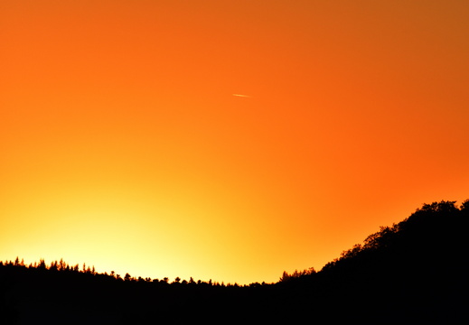 DSC 5966 00003