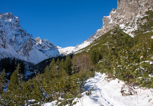 Cestou na Teryho chatu
