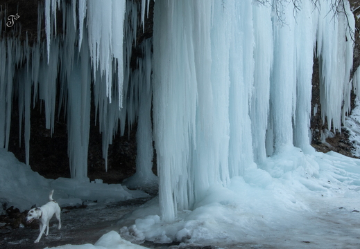 Šikľavá skala - ľadopád 2