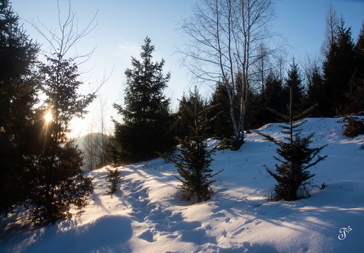 Zima v Slovenskom raji